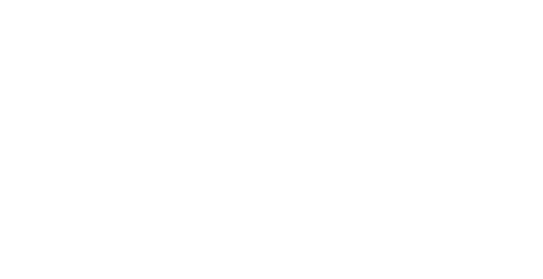 infoCorvus